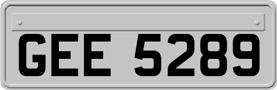 GEE5289