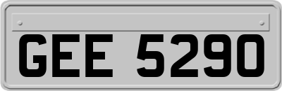 GEE5290