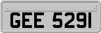 GEE5291