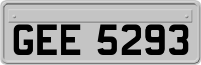 GEE5293