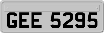 GEE5295