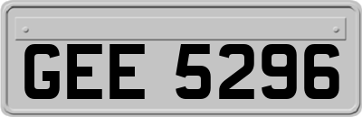 GEE5296
