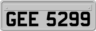 GEE5299
