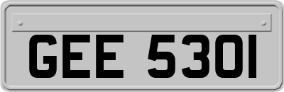 GEE5301
