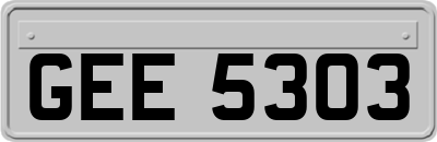 GEE5303