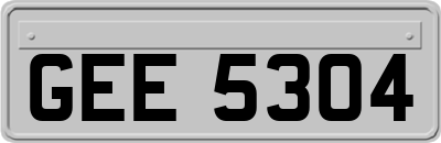 GEE5304