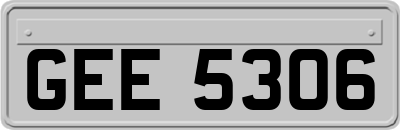 GEE5306