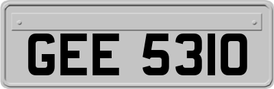 GEE5310