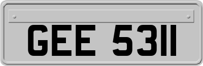 GEE5311