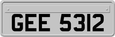 GEE5312