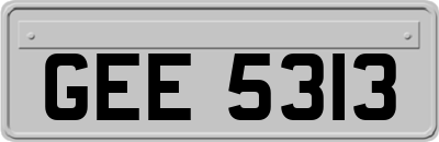 GEE5313