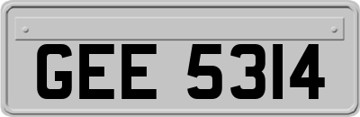 GEE5314
