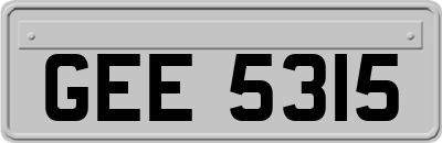 GEE5315