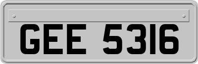 GEE5316