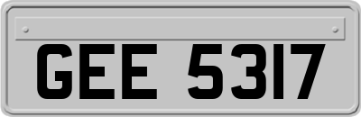 GEE5317
