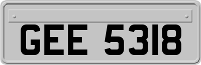 GEE5318