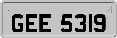 GEE5319