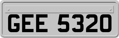GEE5320
