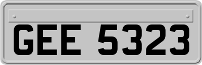 GEE5323
