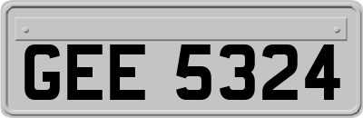 GEE5324