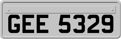 GEE5329