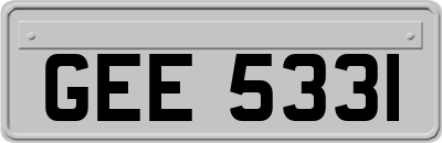 GEE5331