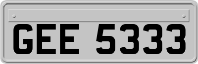 GEE5333