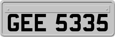 GEE5335