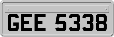 GEE5338