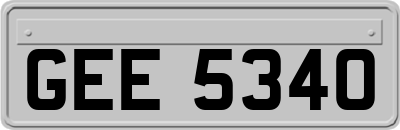 GEE5340