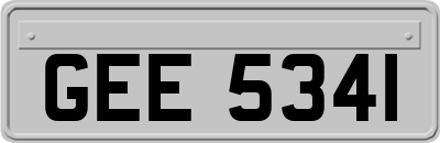 GEE5341