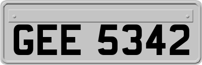 GEE5342