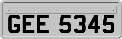 GEE5345