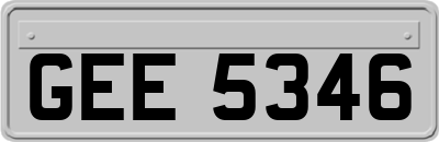 GEE5346