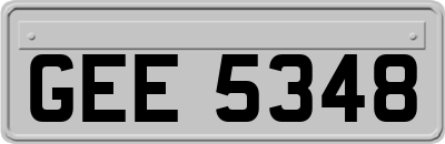 GEE5348