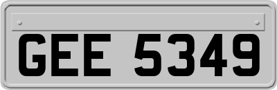 GEE5349