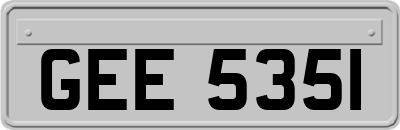 GEE5351