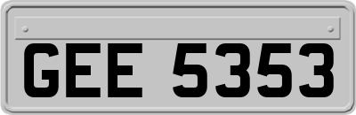 GEE5353