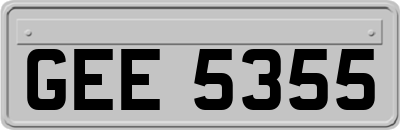 GEE5355
