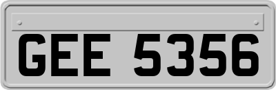 GEE5356