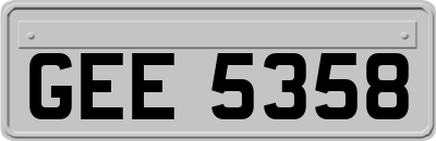 GEE5358