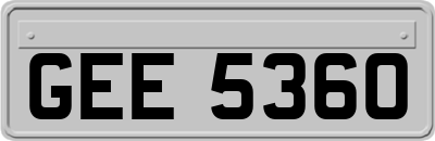 GEE5360