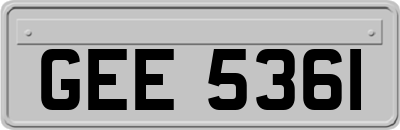 GEE5361