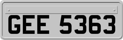 GEE5363