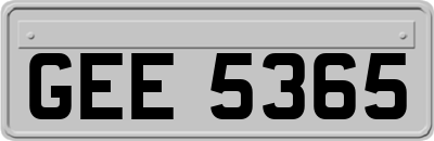 GEE5365