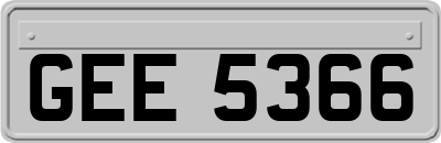 GEE5366
