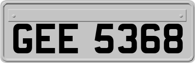 GEE5368