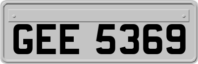 GEE5369