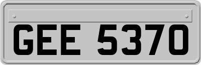 GEE5370