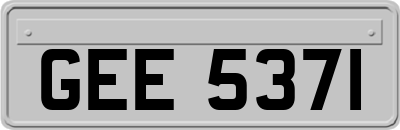 GEE5371